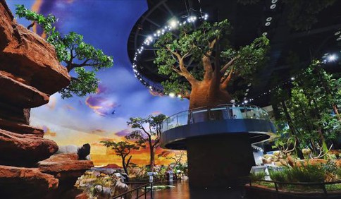端午來市北玩，可不只是吃粽子那么簡單！